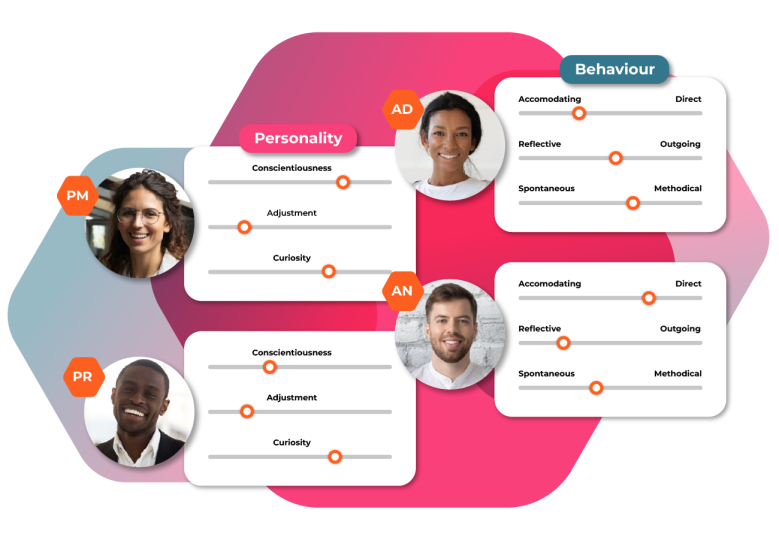 Understand how you team like to work